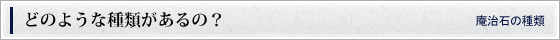 どのような種類があるの？